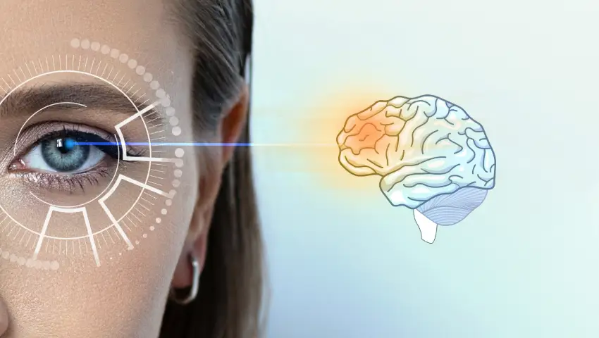 Graphic about EMDR therapy featuring an eye image a brain illustration and text explaining how EMDR helps process traumatic memories