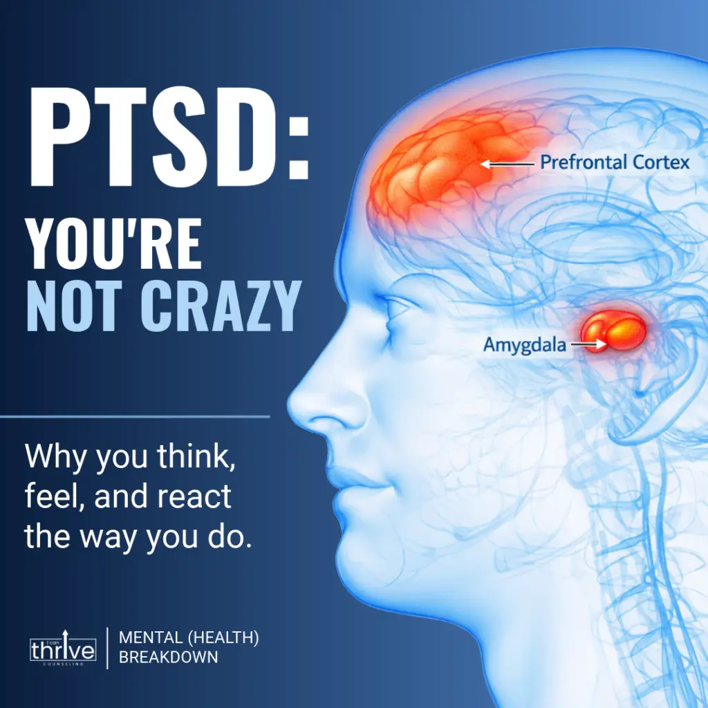 Poster: side view of a blue human head with highlighted brain regions (prefrontal cortex and amygdala) and the title 'PTSD: YOU'RE NOT CRAZY'.